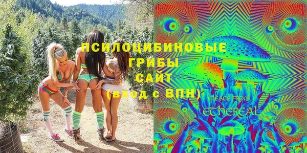 твердый Абаза