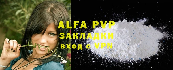 твердый Абаза
